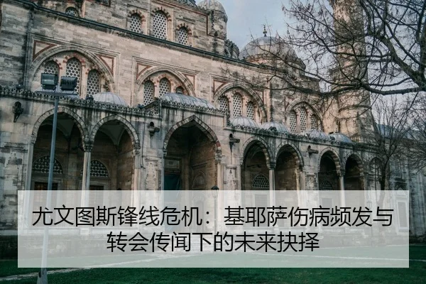 you-wen-tu-si-feng-xian-wei-ji-ji-ye-sa-shang-bing-pin-fa-yu-zhuan-hui-chuan-wen-xia-de-wei-lai-jue-ze-2-398.jpg