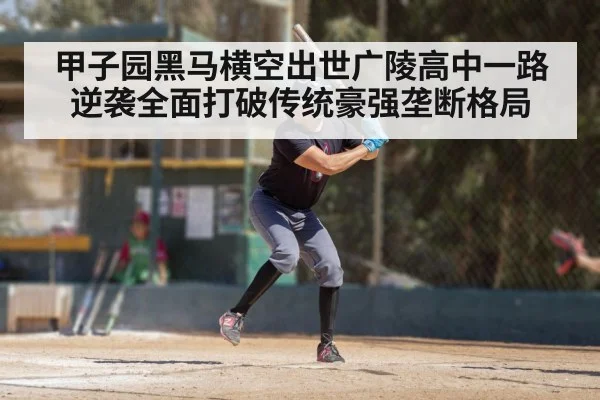甲子园黑马横空出世广陵高中一路逆袭全面打破传统豪强垄断格局